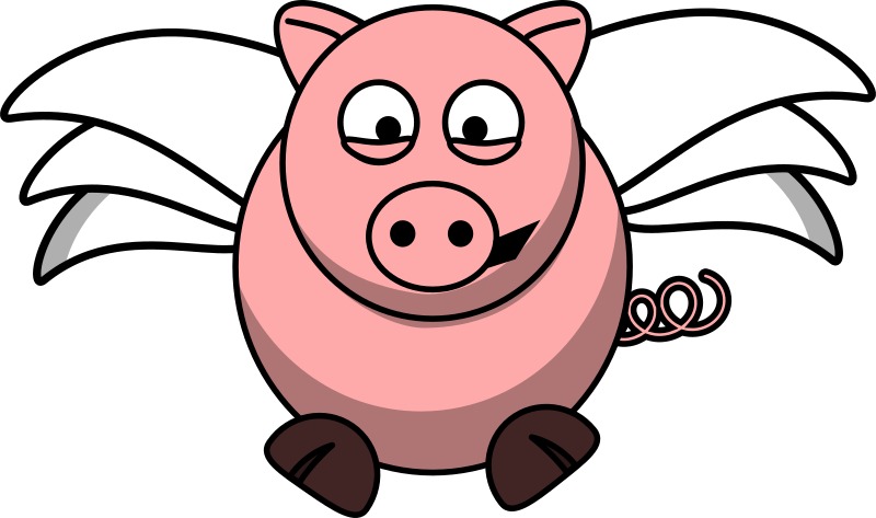 Flying pig