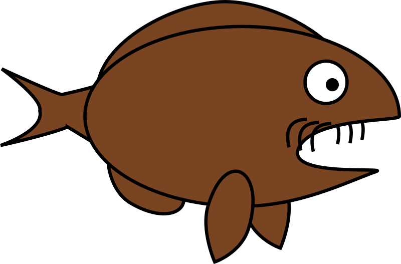 Loach