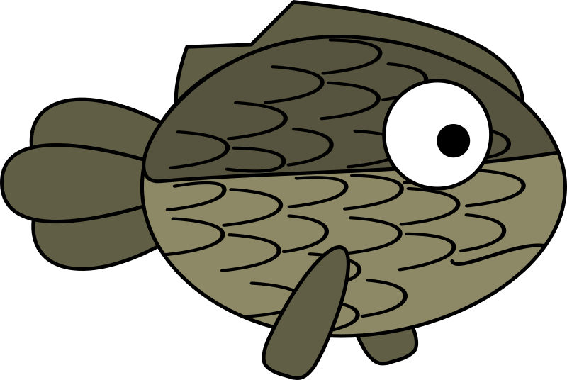 Canal Fish