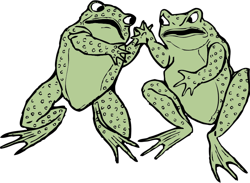 two frogs