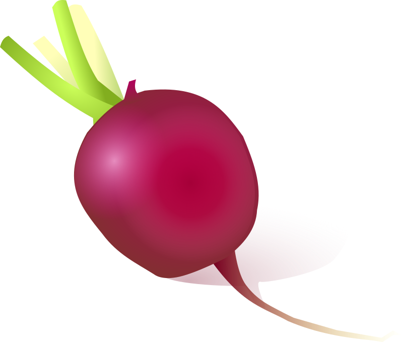 radish