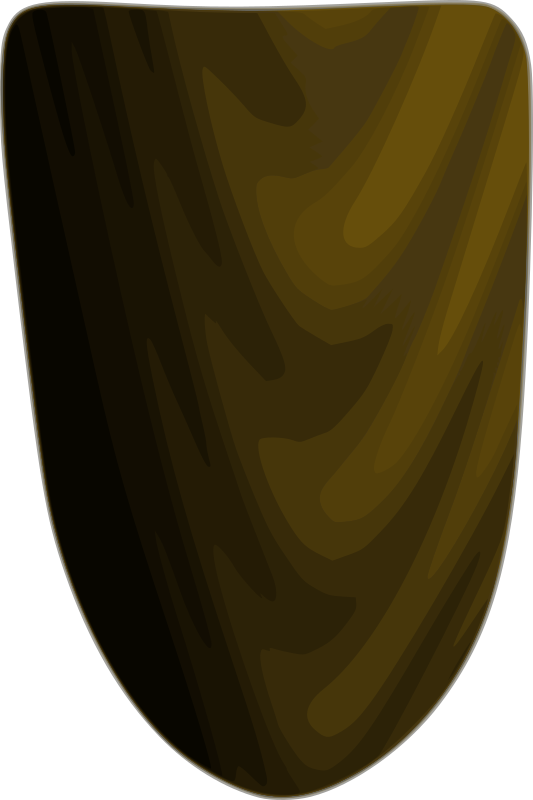 Wooden Shield