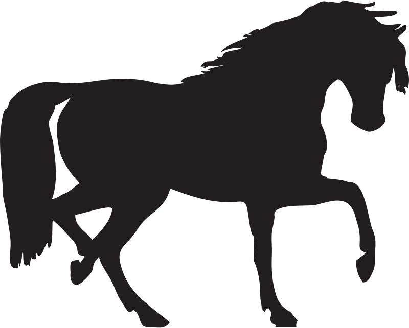 horse silhouette