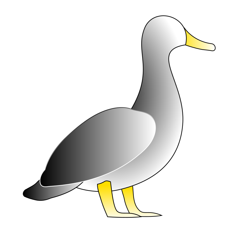 Jonathon's Duck