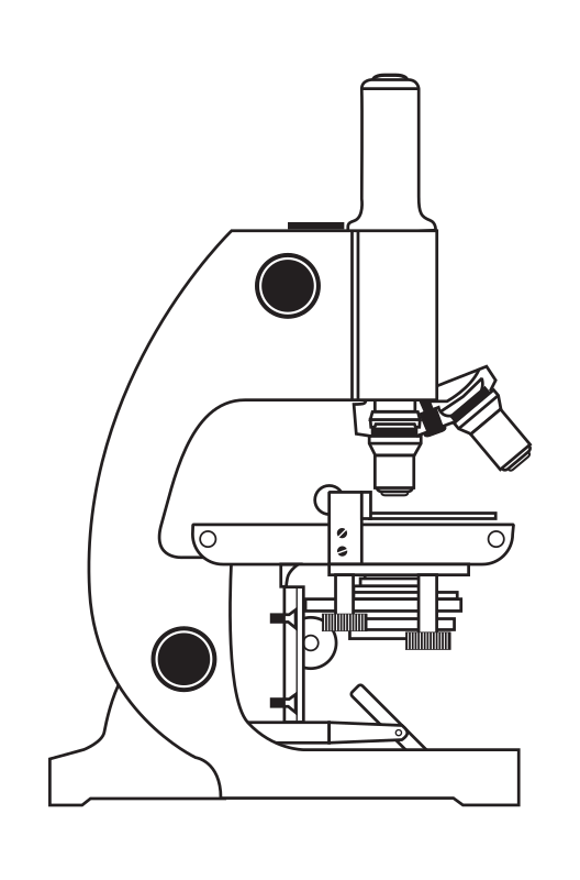 Microscope without Coloring