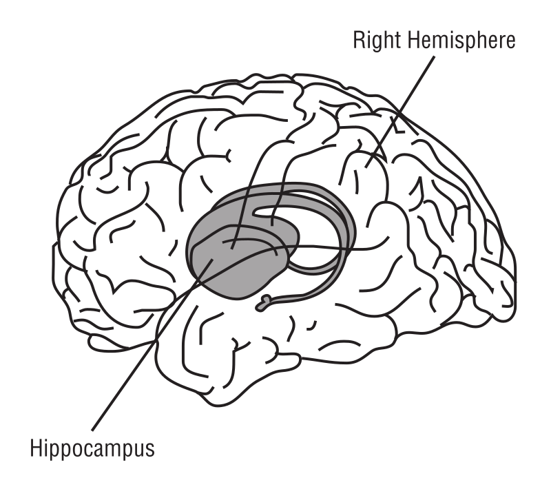 Braing in Space labeled