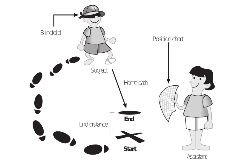 Navigating without visual cues