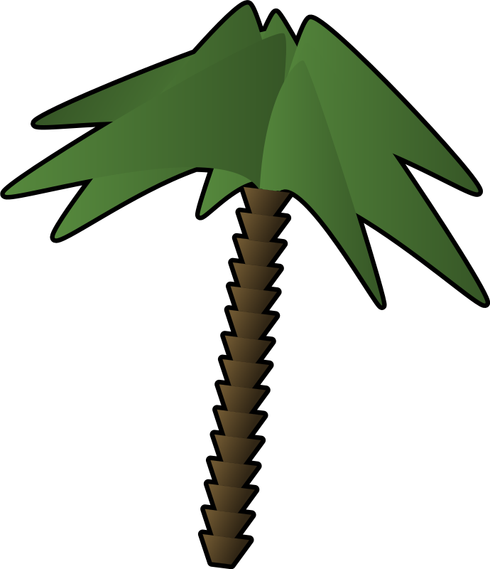 palmtree