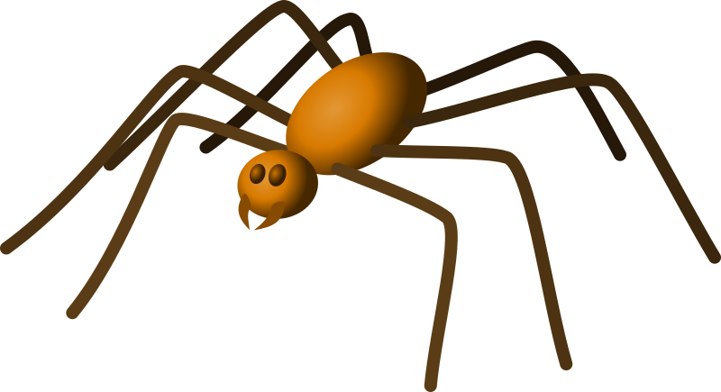 Spider