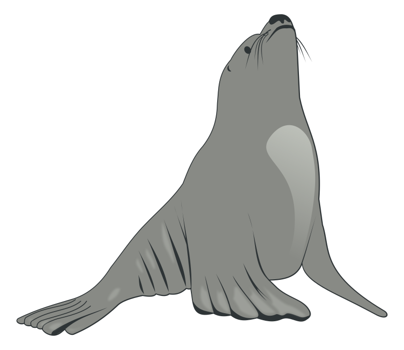 Sea Lion