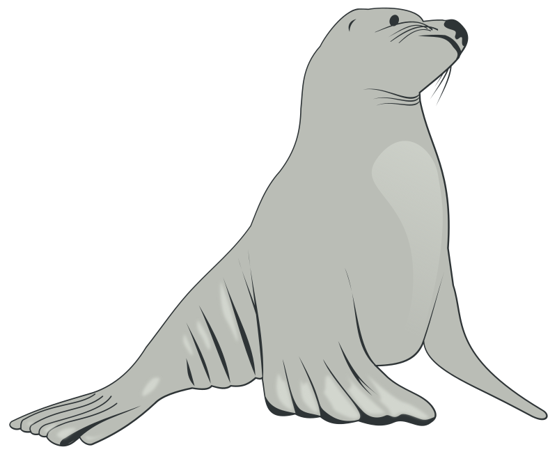 Sea Lion