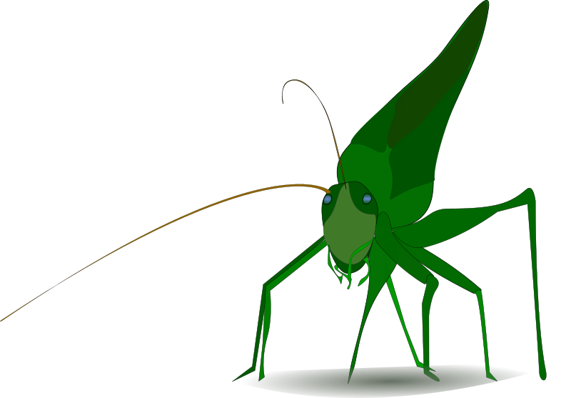 grasshopper