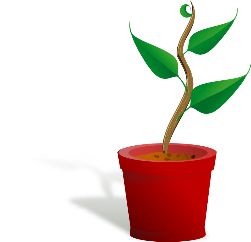 plant growing - Openclipart