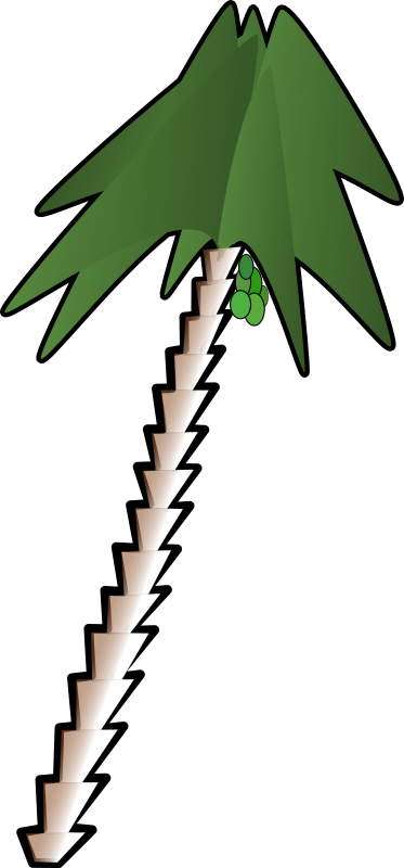 leaning palm tree