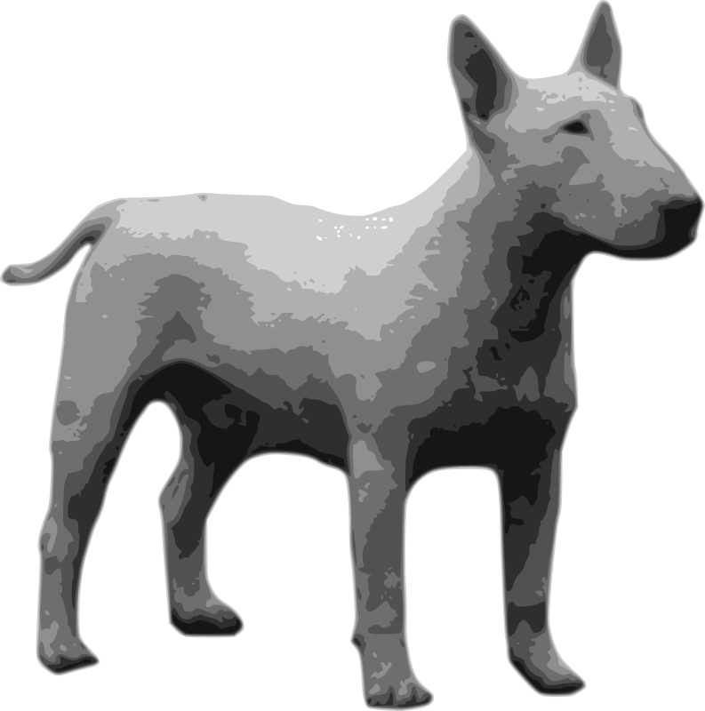 bullterrier grayscale