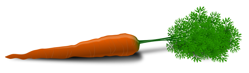 Carrot