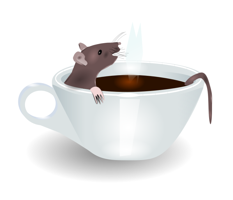 rat in coffee