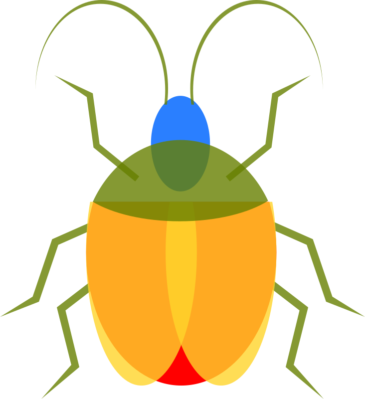 Insect