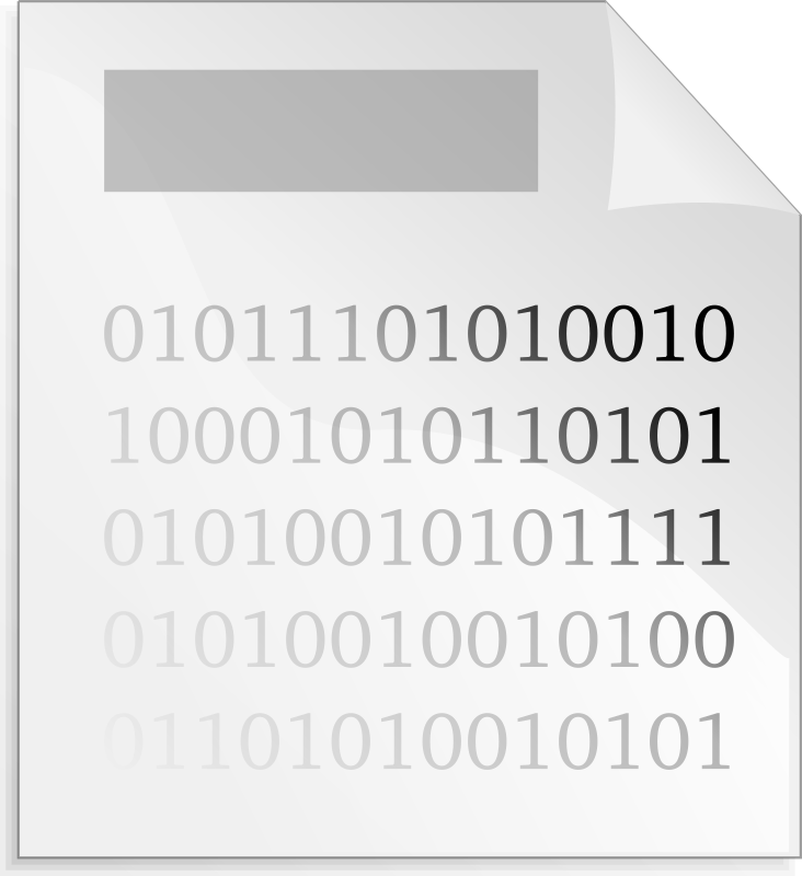 Binary File