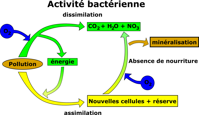 elimination de la pollution