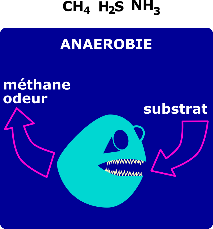 degradation anaerobie