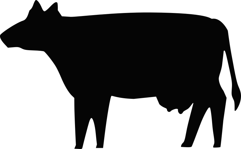 Cow Silhouette