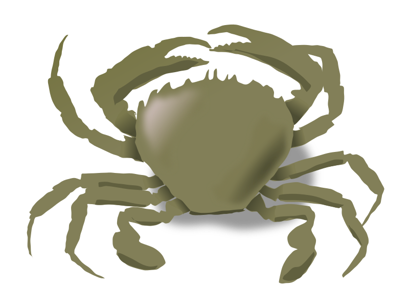 the crab