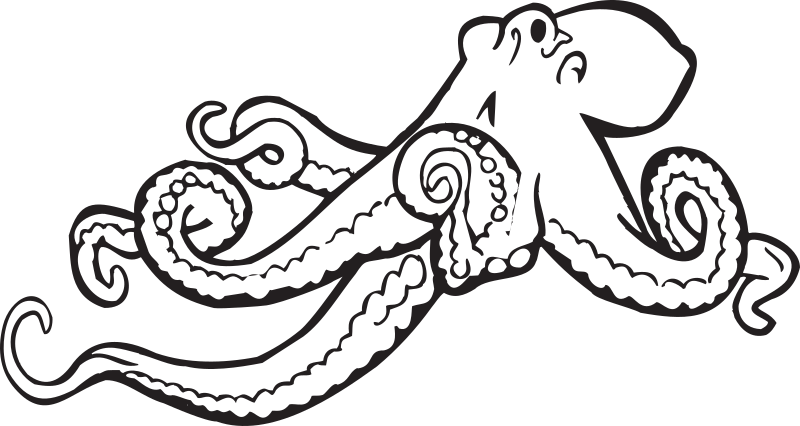Coloring Book Octopus