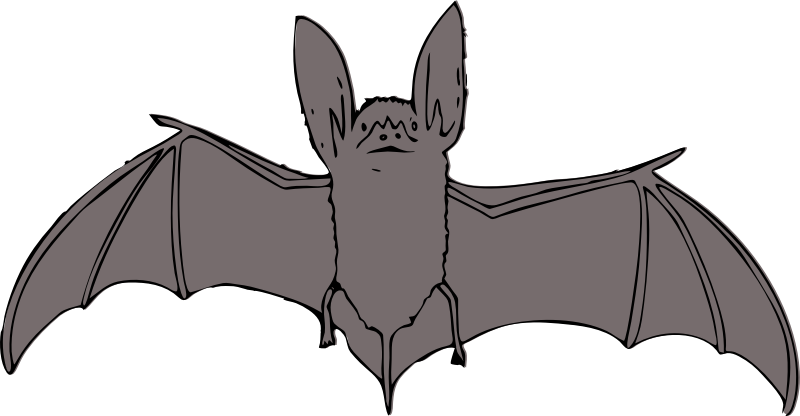 bat