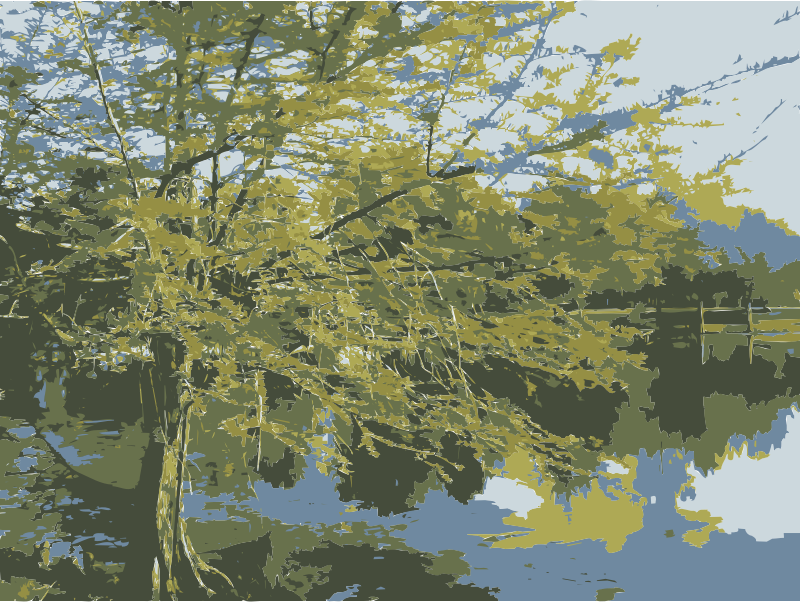 Tree Over Pond