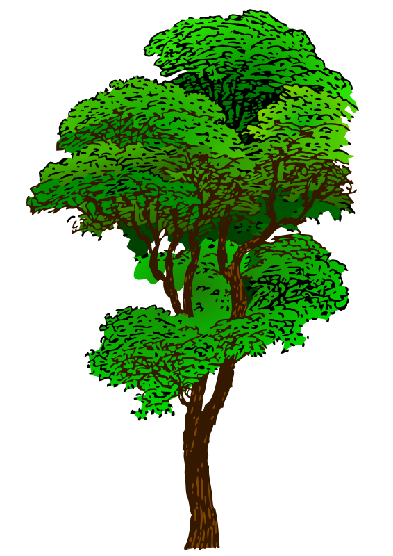 Colorized Tree