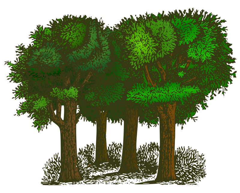 Colorized Group of Trees