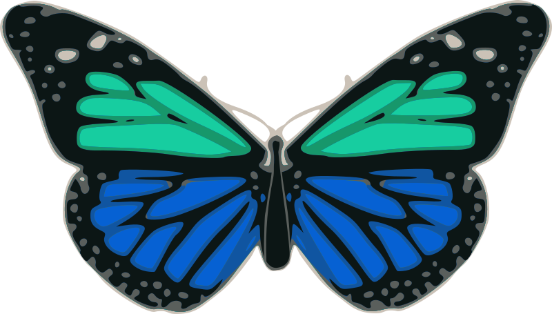 Butterfly 02 Turquoise Blue