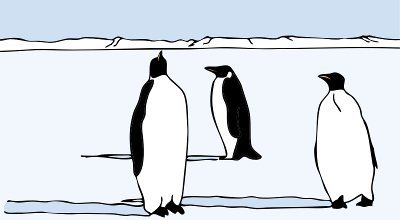 penguins