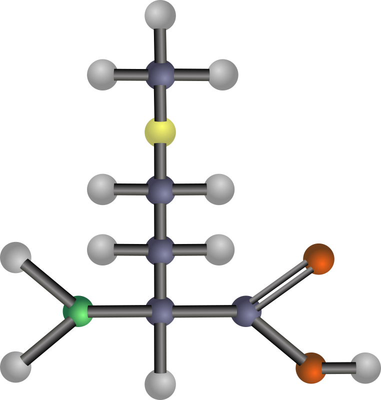 Methionine (amino acid)