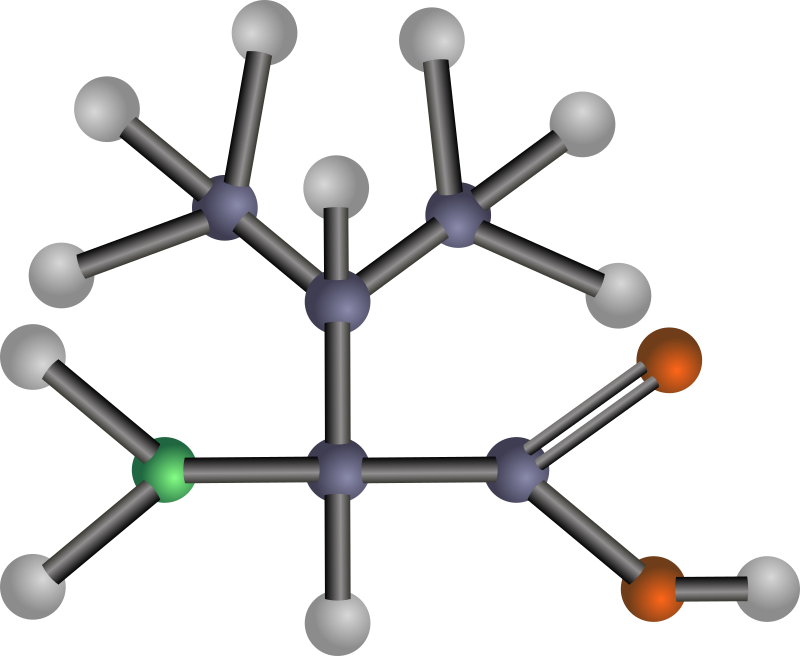 Valine (amino acid)