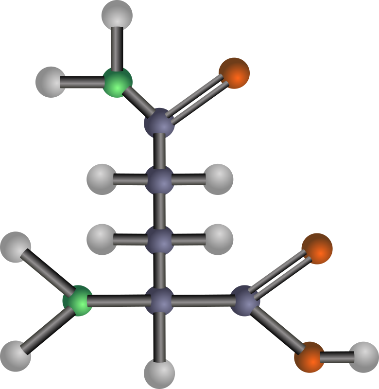 Glutamine (amino acid)