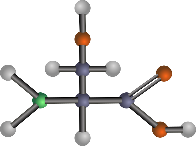 Serine (amino acid)