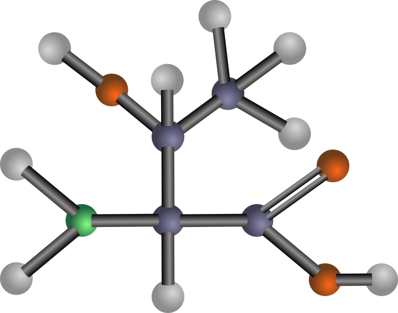 Threonine (amino acid)