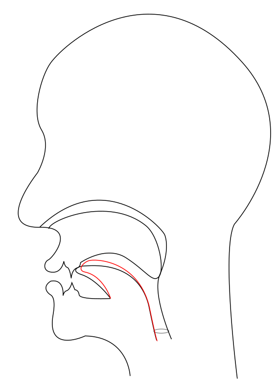 midsagittal CH - voiceless postalveolar affricate