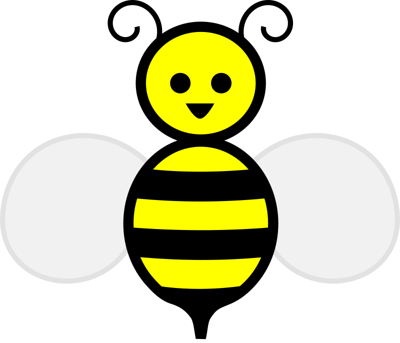 Honey bee