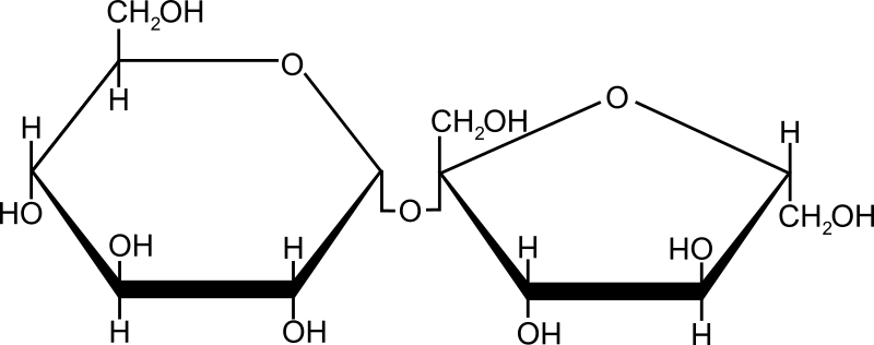 Sucrose (sugar)