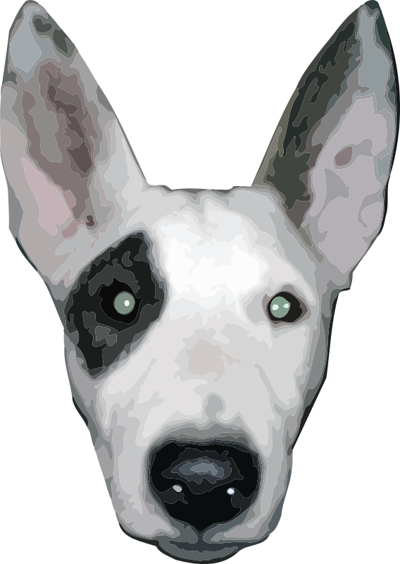 HighRes, Bullterrier head