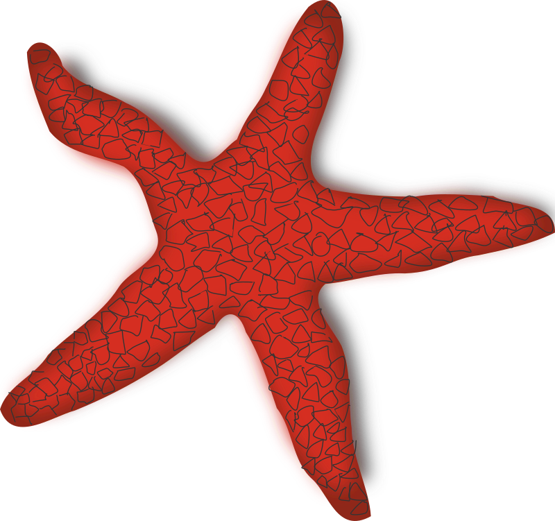 red starfish