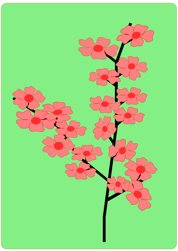 Flower, Flowers, Sakura 