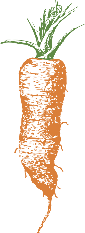 half long carrot