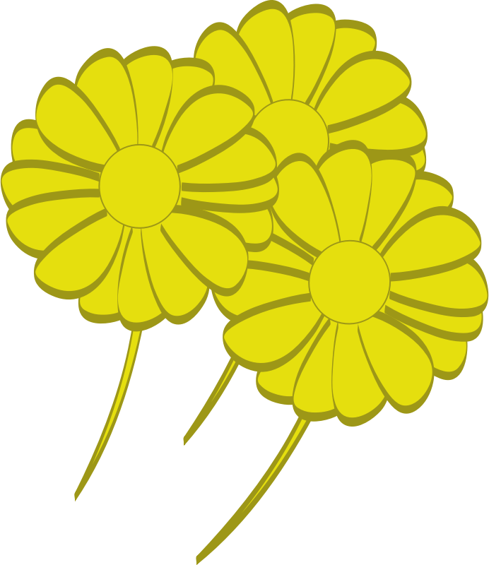 yellow flowers