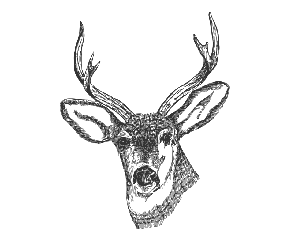 Deer Head