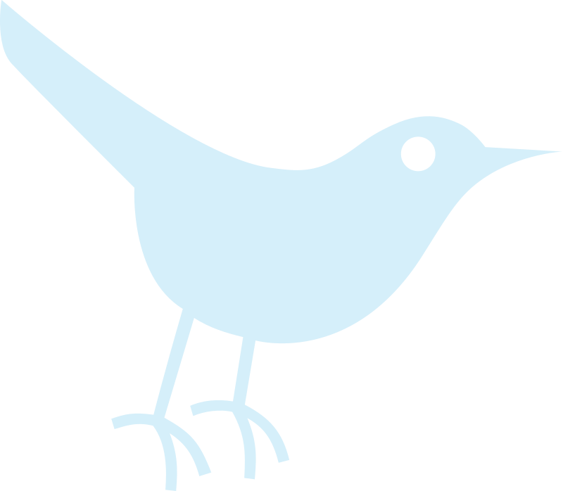 Bird Icon