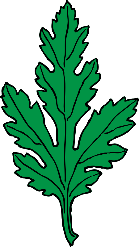 chrysanthemum leaf